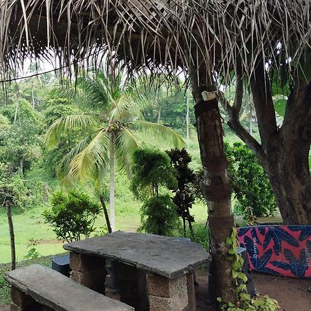 Joseph Dale Homestay Varkala Eksteriør bilde