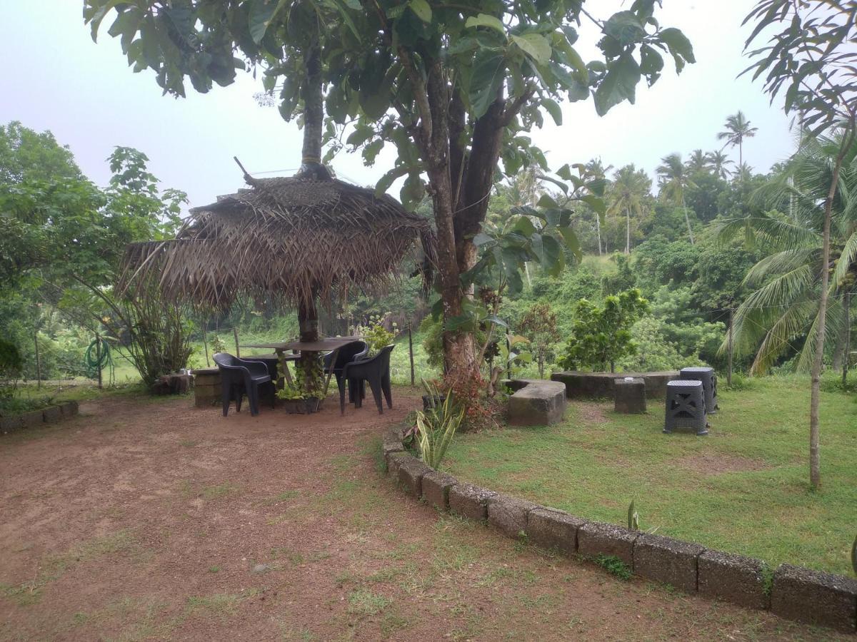 Joseph Dale Homestay Varkala Eksteriør bilde