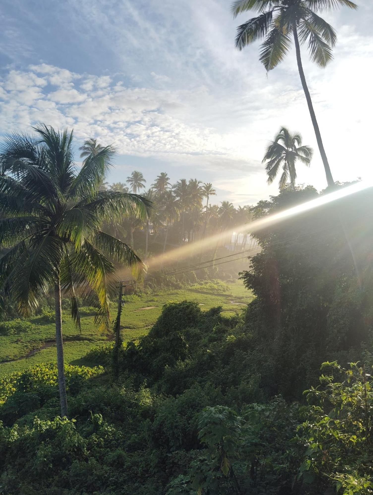 Joseph Dale Homestay Varkala Eksteriør bilde